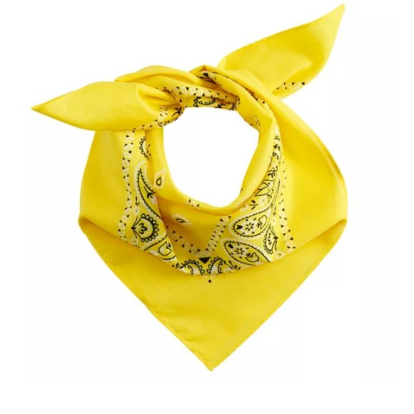 Classic Paisley Cotton Printed Square Bandana - Picture 1 of 2